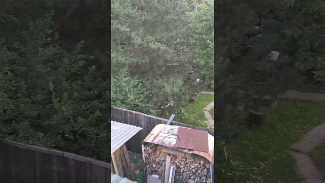3.40 ночи. Хорошо на природе. Птицы поют красиво. смотреть онлайн