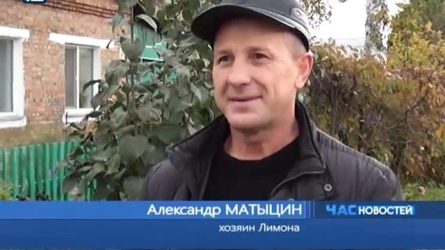 Работящий пес Лимон осваивает моторную лодку смотреть онлайн