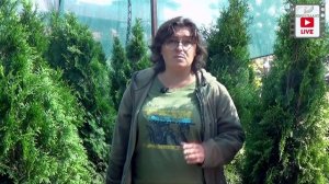 Сосна горная. Топ 10 лучших сортов!!!