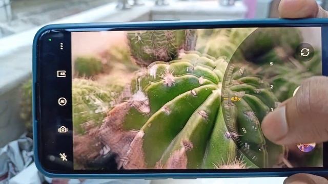 Realme Gt Neo 3t Camera Test | Realme Gt Neo 3t Camera Review | Realme Gt Neo 3t | Gt Neo 3t