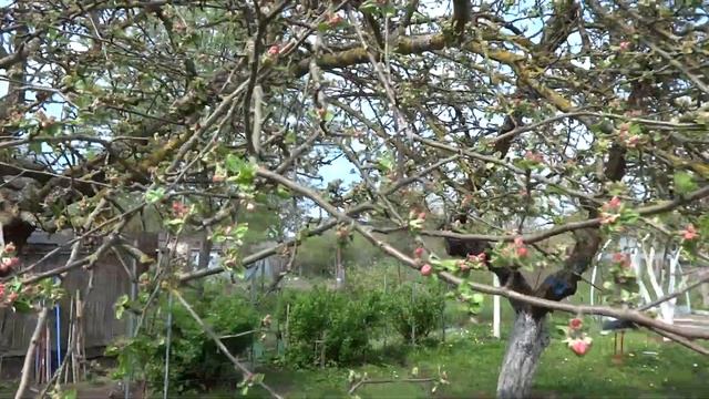 Реконструкция дачи часть вторая.Кладка кирпича.15 мая 2017. смотреть онлайн