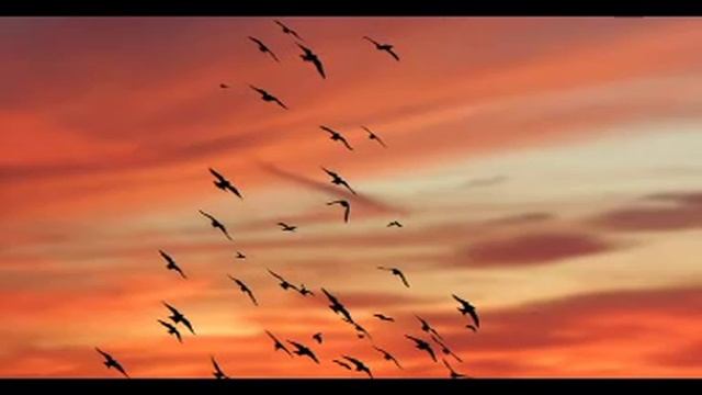 Reiki Music (With Bell Every 3 Minutes)