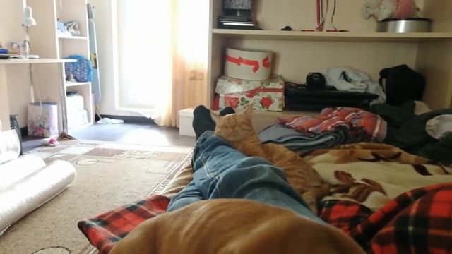 Тихий час (сон и перемирие) ? смотреть онлайн