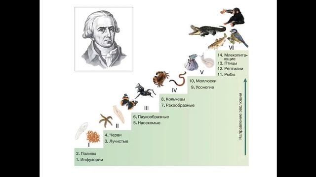 Ученые-биологи. История развития биологии как науки. Вклад ученых смотреть онлайн