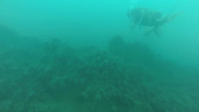 Сентябрьские Понырялки в Ольгинке. Black Sea 2016. смотреть онлайн