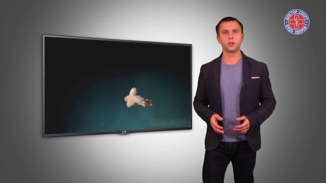 Доктор Спорт «ВЧД Головная боль в зале» смотреть онлайн