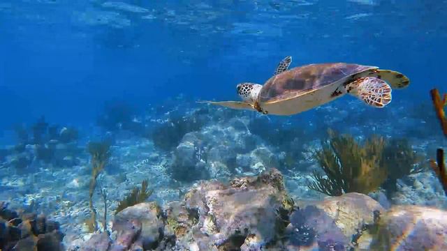 OWN IT 3 | Start_it_5_1 смотреть онлайн