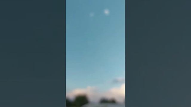 самый лучший голуби мира. Игра молодые голуби Таджикистан. город Исфара. 13 июля 2022 г. смотреть онлайн