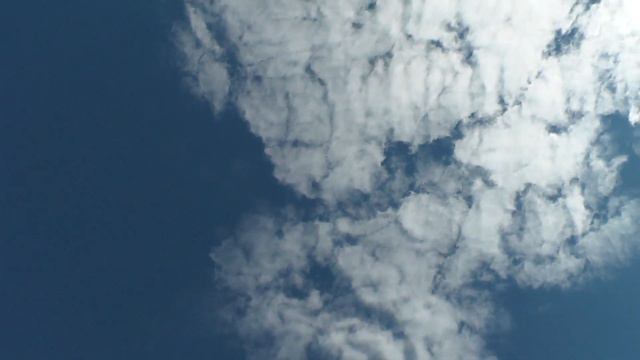 Внимание ! Говорят что голубей держит много ,а летает один ! смотреть онлайн