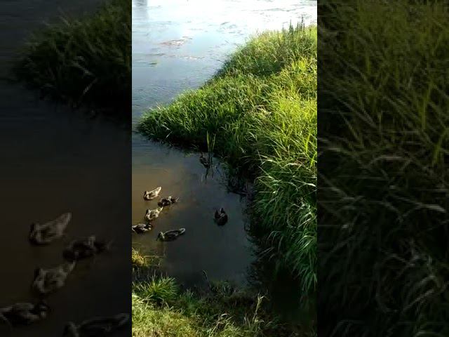 5 августа 2022 г. смотреть онлайн