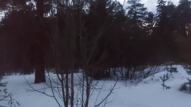 Лес в котором снится бред(ПЕРЕЗАЛИВ) смотреть онлайн