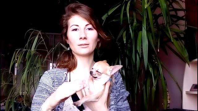 Такой собачки вы еще не видели смотреть онлайн