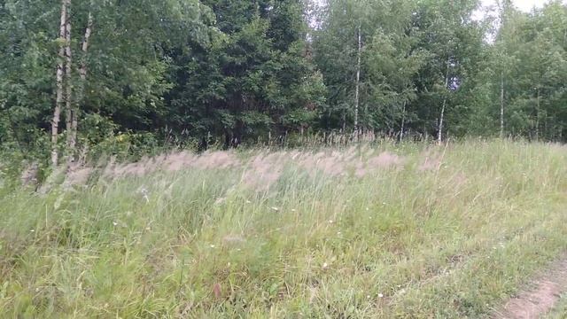 плохой звук ветра смотреть онлайн