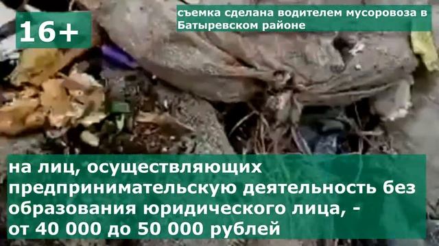 Батыревский район. Биологические отходы выкинули рядом с контейнером для ТКО смотреть онлайн