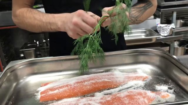 Зоопарк и Дикие Животные