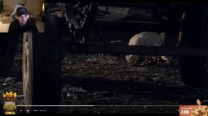 Зубарев смотрит "Район №9"