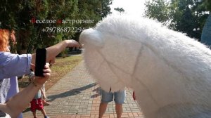 Сюрприз от друзей. Побольше верных друзей и любящих людей