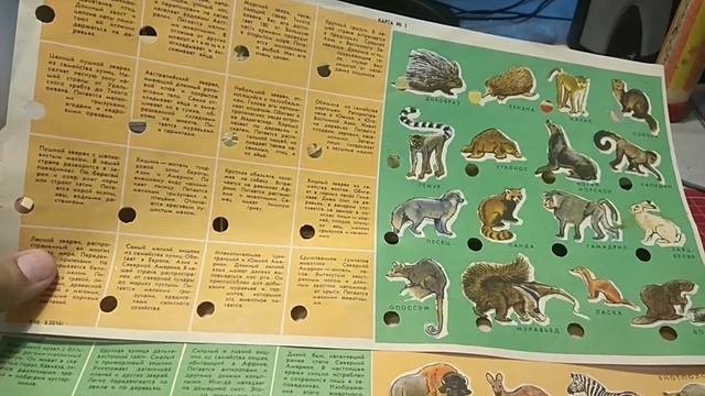 Электровикторина "зоопарк" ЛПО игрушка смотреть онлайн