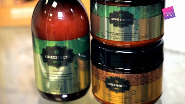 Modnoe utro TV3 Plus 16.11.2019 смотреть онлайн