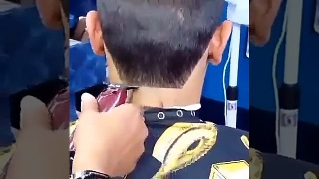 Wahl 8081 T Ağız Jilet Ağız