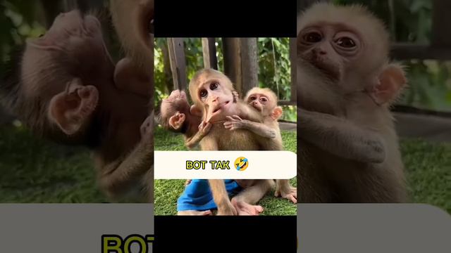 работа в онлайн