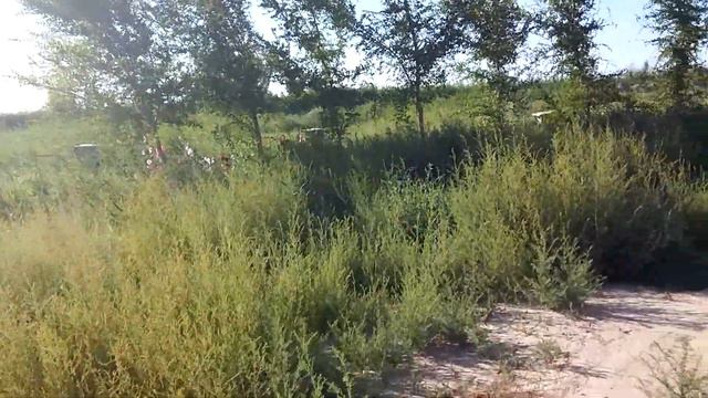 Бахыт Рустемов посещает усыпальницу Кылышты Ата смотреть онлайн