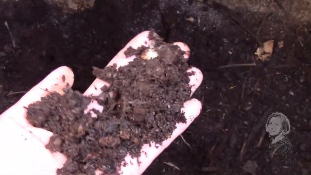 ГРЯДКИ В ОГОРОДЕ ВЕСНОЙ, ВАЖНО ОБНОВИТЬ ПЕРЕГНОЕМ! смотреть онлайн