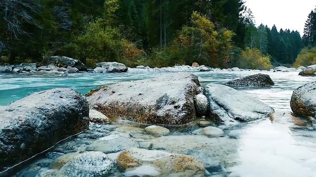 12 HOUR | Forest Stream Nature Sounds | Relaxation & Stress Relief смотреть онлайн