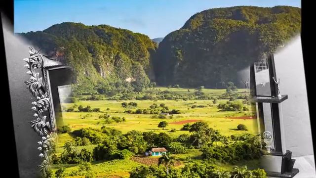 Nelson Ned 3 смотреть онлайн