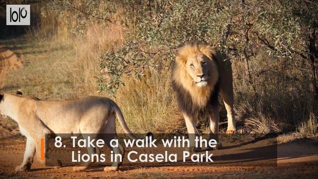 15 Best Things To Do In Mauritius 2022