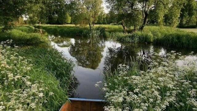 Беловежская Пуща.