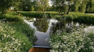 Беловежская Пуща.