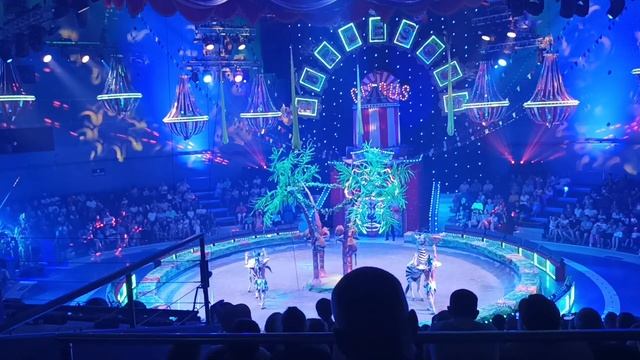 ЦИРК БУРЛЕСК ВЛАДИВОСТОК смотреть онлайн