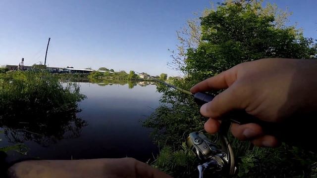 Караси на мормышинг, поиск крупных рыб. Мормышинг. #fishing #мормышка #мормышинг #рыбалка #отдых смотреть онлайн