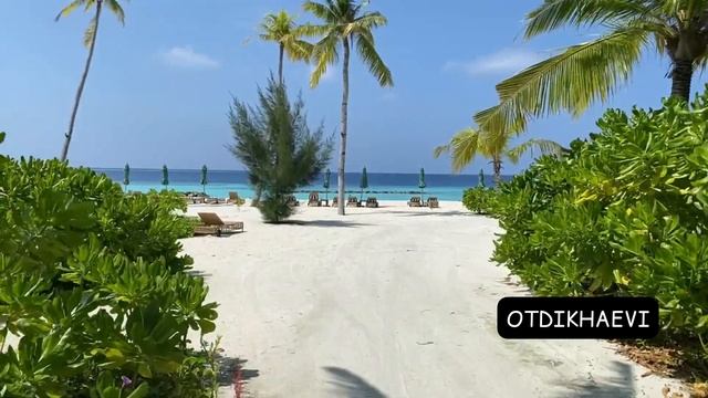 SAii Lagoon Maldives 5* - зелёный и семейный, обзор апрель 2021 смотреть онлайн