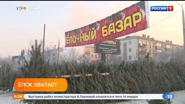 Читинский зоопарк не будет принимать все непроданные на ёлочных базарах деревья в 2022 году смотреть онлайн