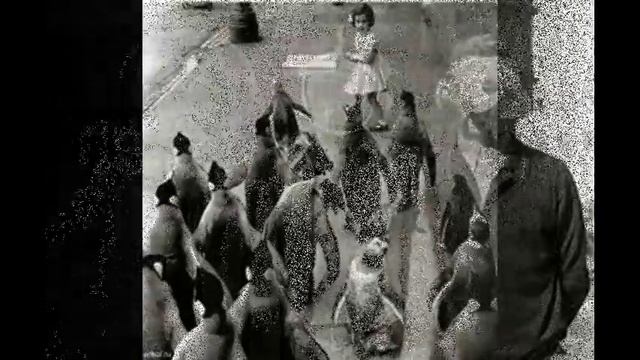 Странные старые фотографии.