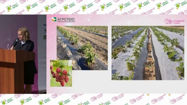 10 Мульчирование ягодных насаждений с использованием нетканых материалов в южном регионе Дарья Ко смотреть онлайн