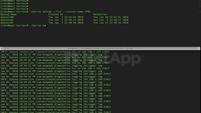 Kairos - MongoDB Data Protection on NetApp: Backup смотреть онлайн