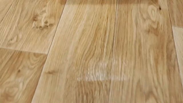 Пример работы пылесоса Redkey W12 смотреть онлайн