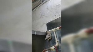 Ремонт бензонасоса Пежо 207