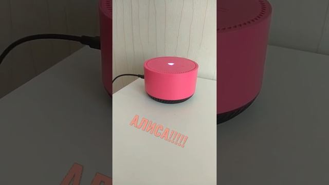 Алиса вааау!!! смотреть онлайн