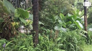 Обзор отеля Renaissance Phuket Resort & Spa 5* на Пхукете (Таиланд) от менеджера Discount Travel