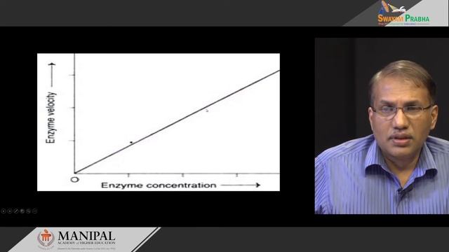 1.3 Applications and importance of factors affecting enzyme action смотреть онлайн