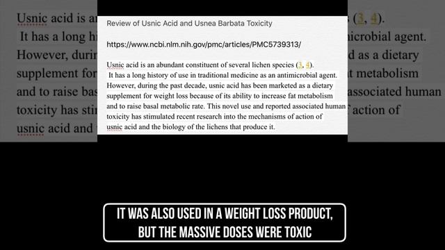 Usnea смотреть онлайн