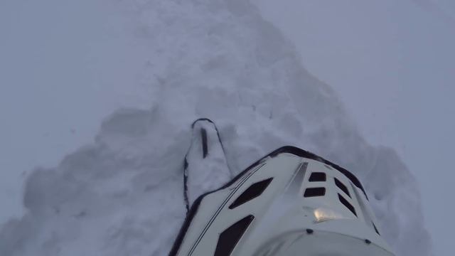 Лошадь целый месяц живёт в лесу. Одичавший жеребец ищет пропитание под снегом. ХОЗЯИН ОТЗОВИСЬ.. смотреть онлайн