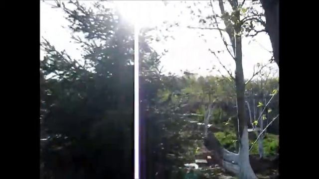 Наша дача 2017 9 мая ужин на скорую руку смотреть онлайн