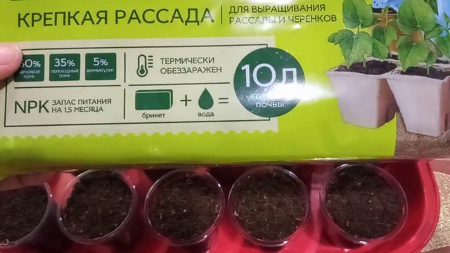 2 марта. ПОСЕВ ПЕТУНИИ смотреть онлайн