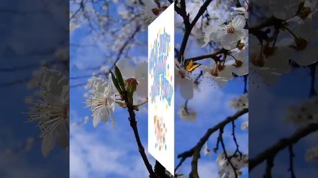 Картинки с текстурами смотреть онлайн