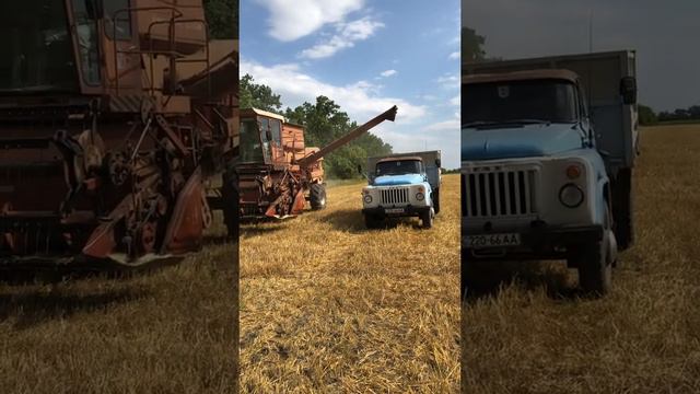 Косим ячмень 2019год смотреть онлайн